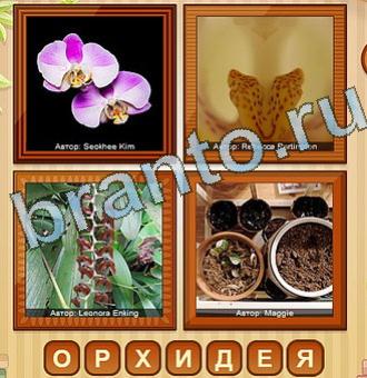 ответы на игру 4 фото в контакте Уровень 175