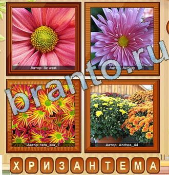 игра одноклассники 16 фото Уровень 180