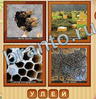 игра четыре фото в одноклассниках помощь Уровень 183