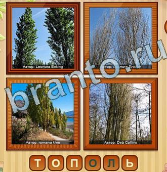 игра 4 фото подсказки ВК Уровень 186