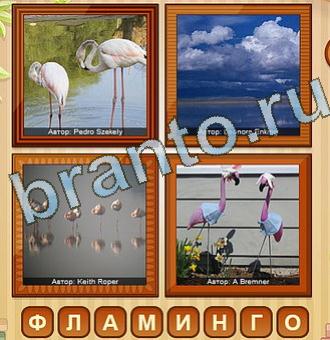 игра 4 фото решебник в контакте Уровень 191