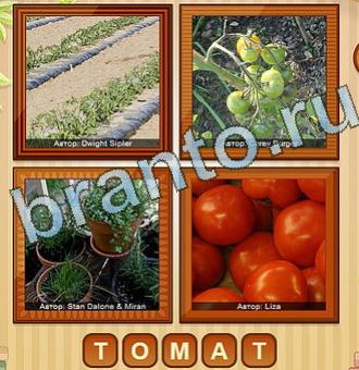 ответы в одноклассниках на игру 4 фото Уровень 196