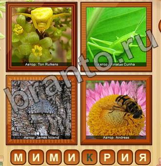 помощь на игру 4 фото Уровень 206