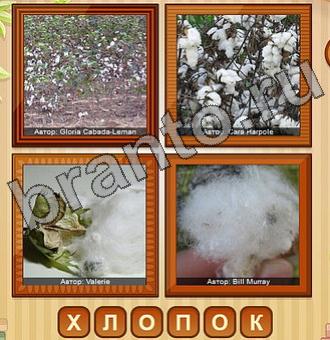 4 фото Уровень 212