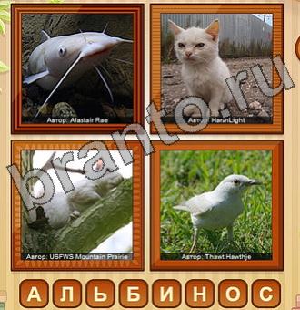 ответы на игру 4 фото вконтакте Уровень 216