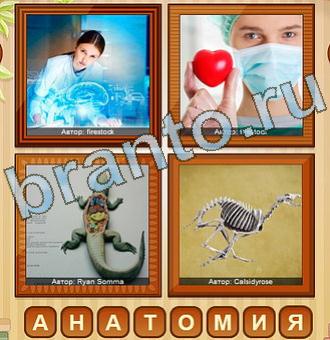 4 фото игра ответы уровень 150