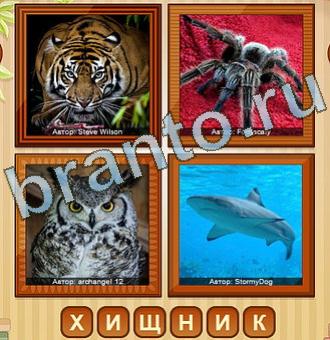 4 фото игра ответы уровень 153