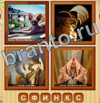 4 фото игра ответы уровень 167