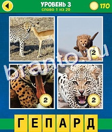 4 Фото 1 Слово Аллегория ответы