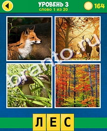 4 Фото 1 Слово Классика ответы