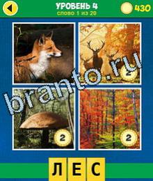 4 Фото 1 Слово Эволюция ответы