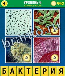 андроид 4 Фото 1 Слово Эволюция ответ