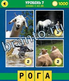 4 Фото 1 Слово Эволюция ответы