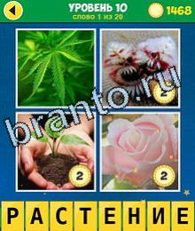 4 Фото 1 Слово Эволюция ответы