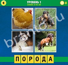 андроид 4 Фото 1 Слово Интрига ответ