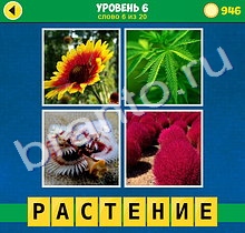 планшет 4 Фото 1 Слово Интрига решения