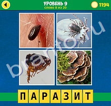 4 Фото 1 Слово Интрига игра ответы на планшете