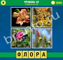 планшет 4 Фото 1 Слово Интрига решения