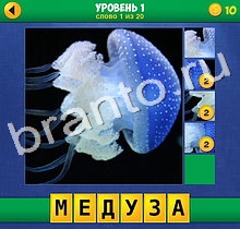 4 Фото 1 Слово Крупный план ответы