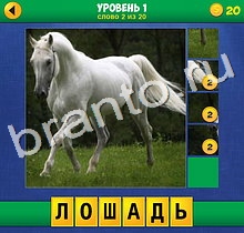 андроид 4 Фото 1 Слово Крупный план ответ