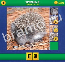 ответы на игру 4 Фото 1 Слово Крупный план