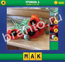 ответы на игру 4 Фото 1 Слово Крупный план