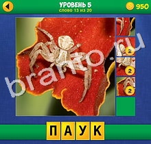 решебник 4 Фото одно Слово Крупный план