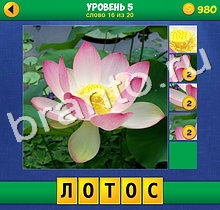 4 Фото 1 Слово Крупный план