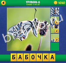 4 Фото 1 Слово Крупный план ответы