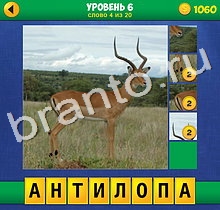 подсказки к игре 4 Фото 1 Слово Крупный план 