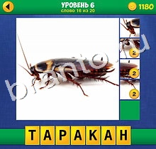 4 Фото 1 Слово Крупный план extra 3