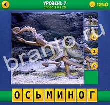 андроид 4 Фото 1 Слово Крупный план ответ