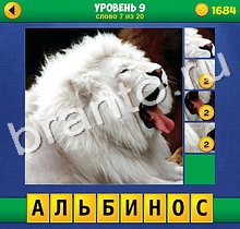 4 Фото 1 Слово Крупный план решения