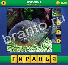 4 Фото 1 Слово Крупный план ответы на телефоне