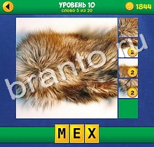 4 Фото 1 Слово Крупный план подсказки