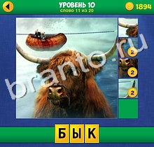 4 Фото 1 Слово Крупный план сборник ответов