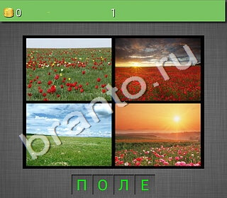 4 фото 1 слово на русском-2 ответы уровень 1