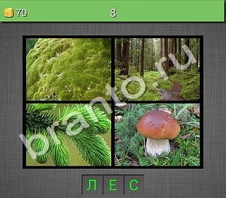 4 фото 1 слово на русском-2 на телефоне найти ответы