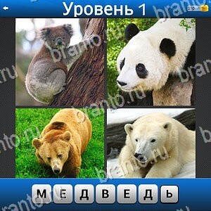 Найдите слово 4 фото 1 слово андроид ответы коала панда комплект уровней 1