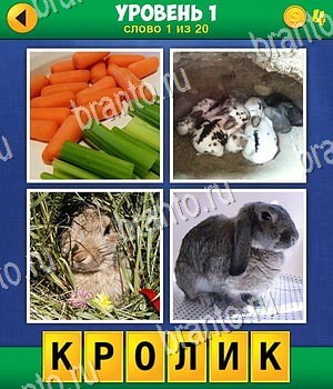 4 фото 1 слово экстра игра ответы на 1 уровень слово 1 морковка, огурец, кролики