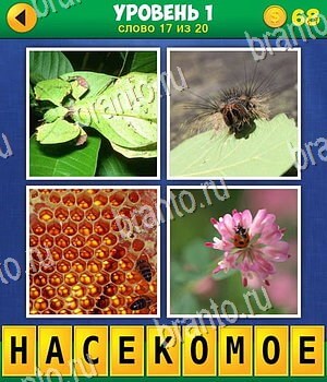 ответы на игру в контакте 4 фото 1 слово: экстра на 1 уровень 17 вопрос: лист, насекомое, мед, цветок