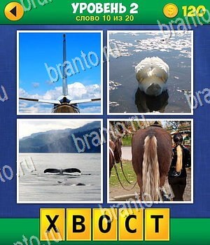 4 фото 1 слово: экстра игра ответы, уровень 2 вопрос 10: самолет, облако, птица, хвост лошади