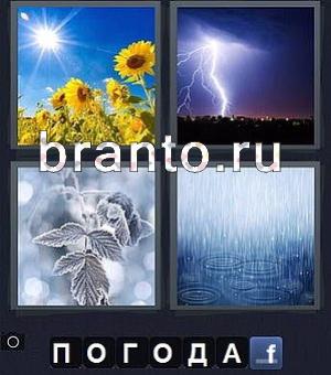 4 фотки 1 слово игра ответы, уровень 150: подсолнухи, гроза и молния, замороженный лист малины, дождь
