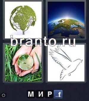 4 фотки 1 слово игра ответы: круглое дерево, планета Земля, земной шар в ладонях (руках), голубь