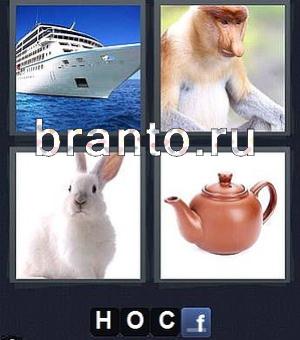 Ответы на игру 4 фотки 1 слово: на картинках изображены теплоход (корабль), обезьяна с длинным носом, кролик (заяц), чайник