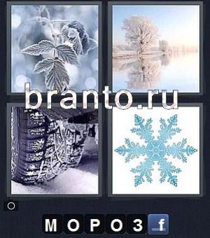 Игра 4 фотки 1 слово (Word) прохождение все уровни: на фото изображены лист покрыт инием, дерево в снегу, шина, снежинка