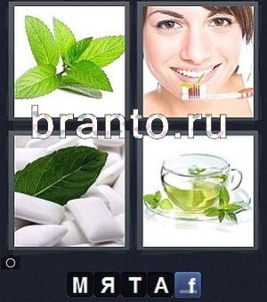 ответы в игре 4 фотки 1 слово (Word) уровень 37: листок, растение, девушка чистит зубы, чай