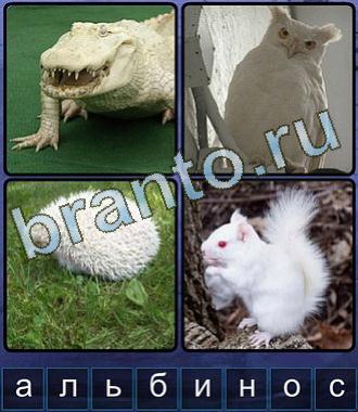 Игра Ассоциации Одноклассники ответы из 8 букв