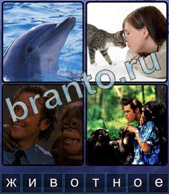 решения к игре Ассоциации ВК 8 букв