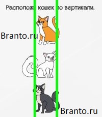 Ответы на игру Braindom Уровень 181 Расположи кошек по вертикали